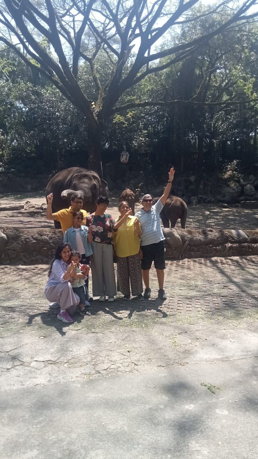 Manish keyal from singapore family trip to taman safari prigen with 85 rent car surabaya